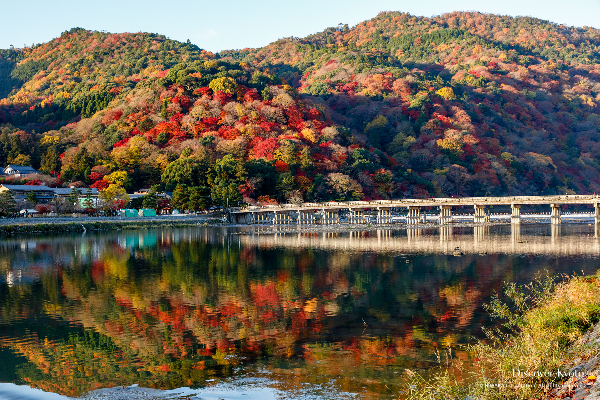 Tour Hàn – Nhật mùa lá đỏ: Cơ hội ngắm trọn vẻ đẹp mùa thu ở miền ôn đới