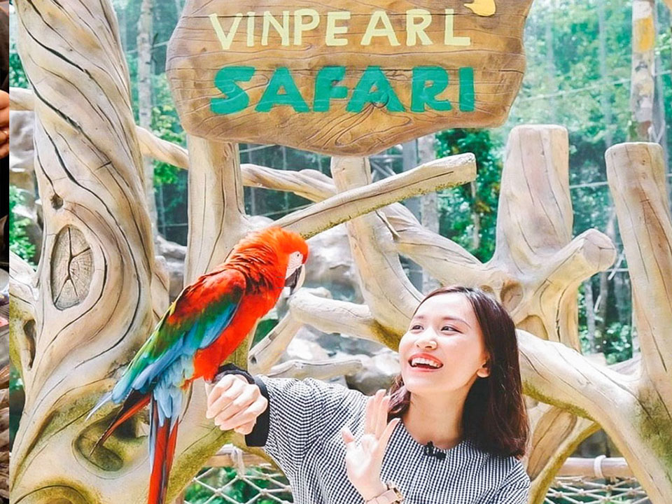 Vinpearl Safari - Chụp ảnh cùng các loài chim