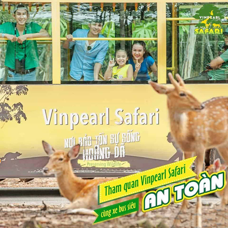 Xe bus Vinpearl Safari đưa du khách đi tham quan khu bán hoang dã