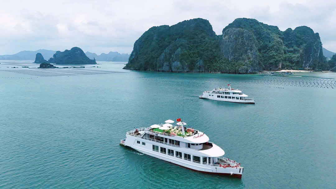 tau-tham-vinh-bai-tu-long-trai-nghiem-moi-me-cho-tour-van-don-trong-ngay