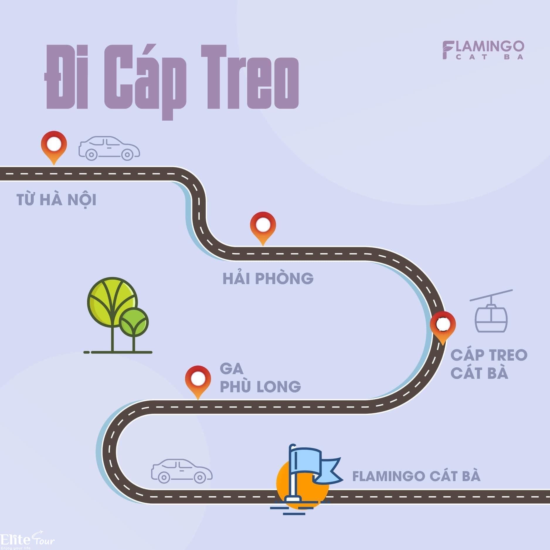 cách đi đến flamingo cát bà