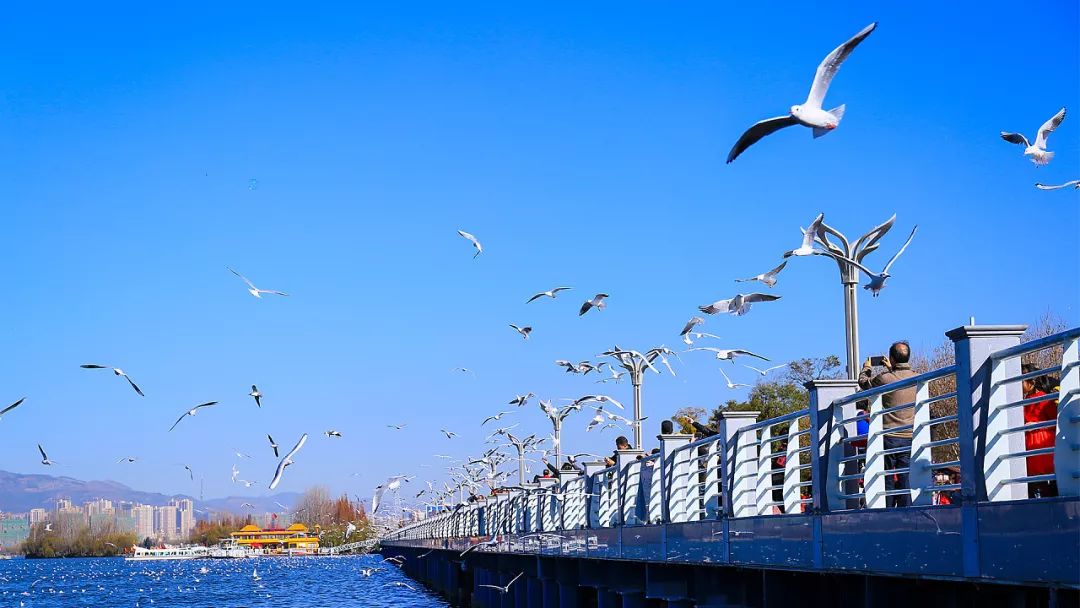 Lịch trình du lịch Côn Minh, Trung Quốc