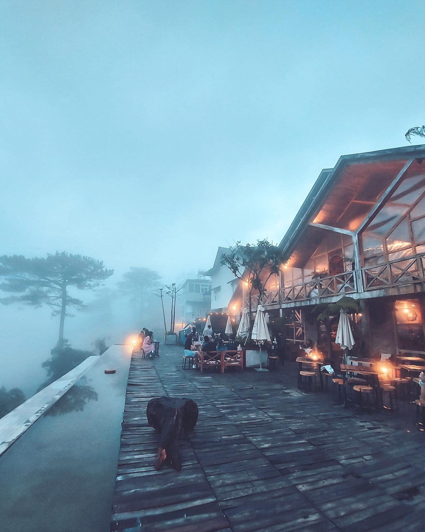 Tiệm cafe Dalat Mountain View 01