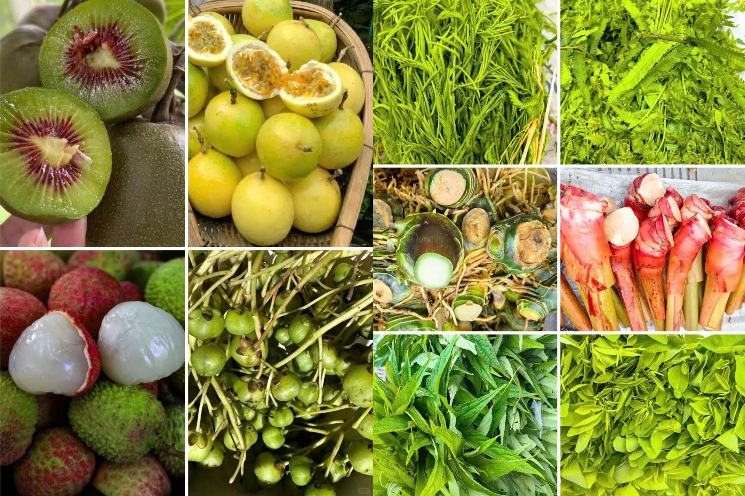 đặc sản Bình Biên Trung Quốc