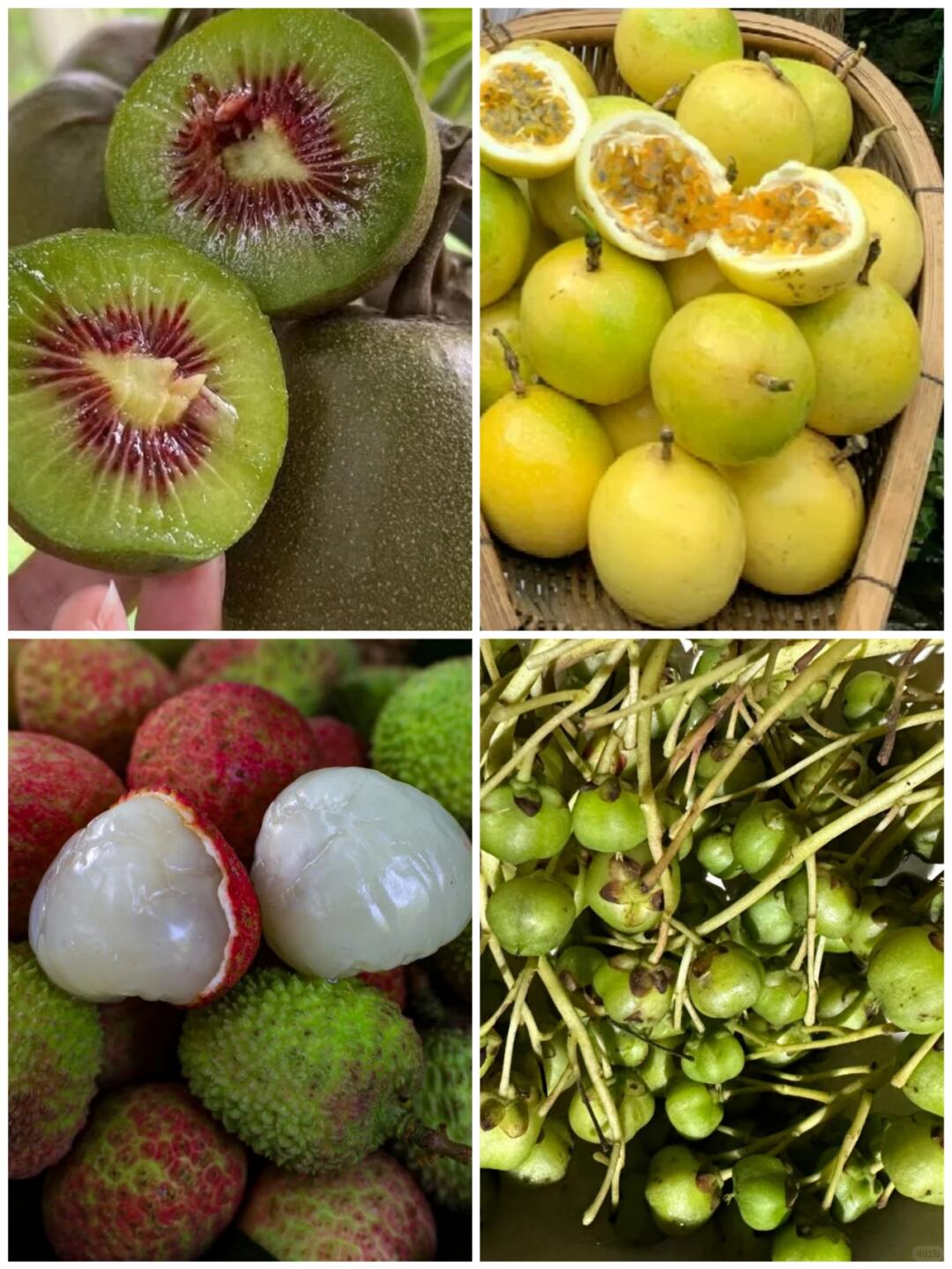 đặc sản bình biên làm quà