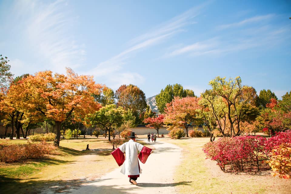 Du lịch Hàn Quốc mùa lá đỏ