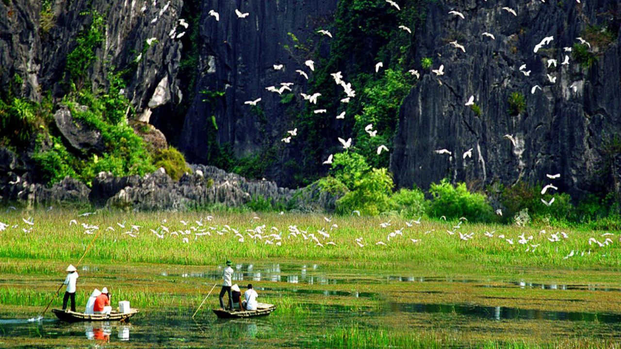 vườn chim THung Nham