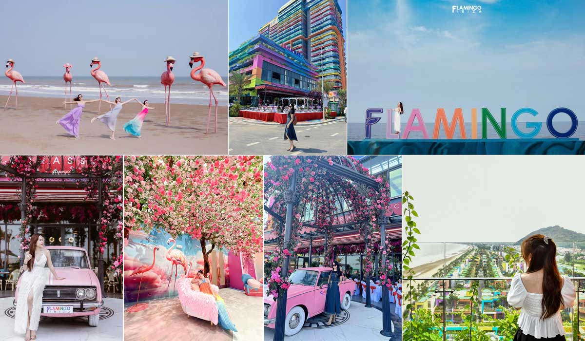 Flamingo Hải Tiến