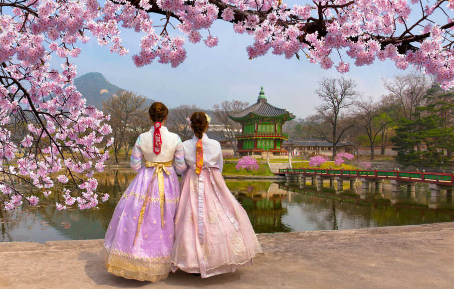 Những lễ hội hoa anh đào mùa xuân nổi tiếng Hàn Quốc