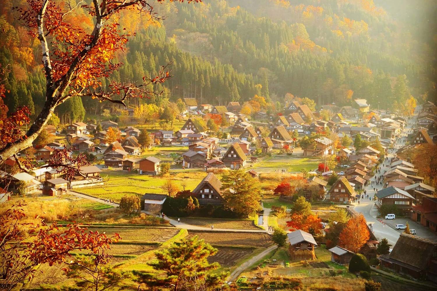 nhat-ban/tour-nhat-ban-mua-thu-cung-duong-lang-co-shirakawago