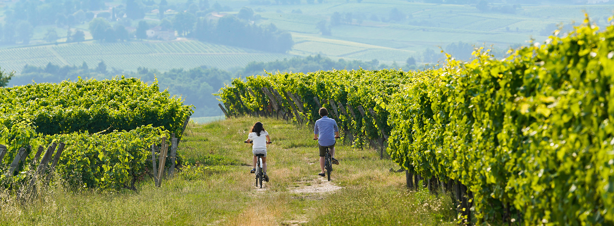 Đạp xe quanh những ngôi làng ở Bordeaux nước Pháp