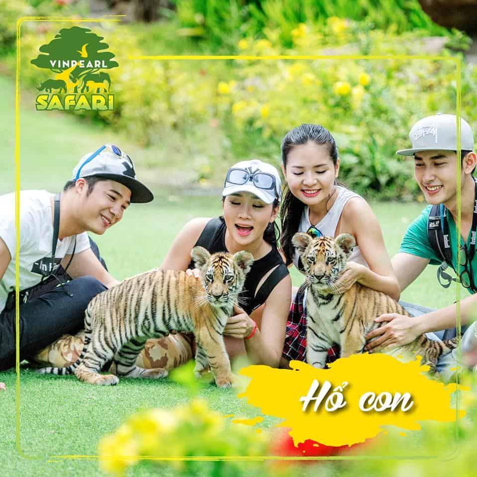 Hổ con trong Safari Phú Quốc