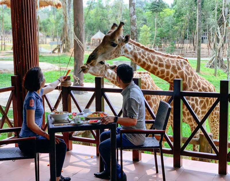 Nhà hàng hươu cao cổ tại Safari Phú Quốc